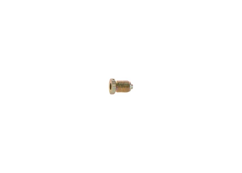 BOSCH 2413462020 Screw