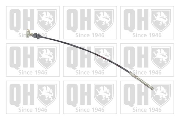 QH_BC4025.JPG