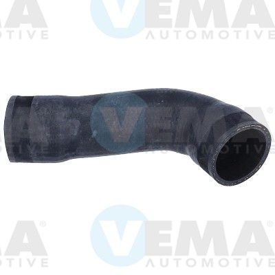 VE55854.JPG