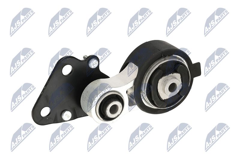 Paigutus, Mootor, NTY ZPS-CH-075