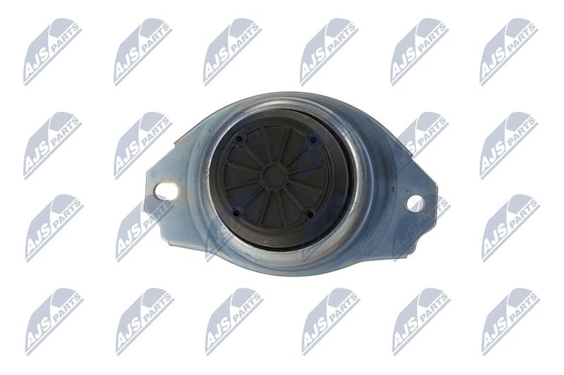 Paigutus, Mootor, NTY ZPS-LR-019