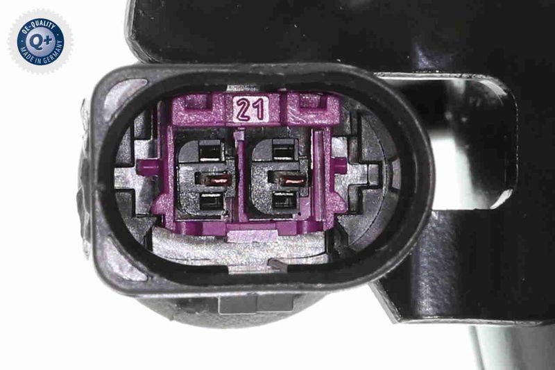 V15-50-0004_03.JPG