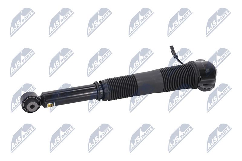 Amort, NTY A-LR-021