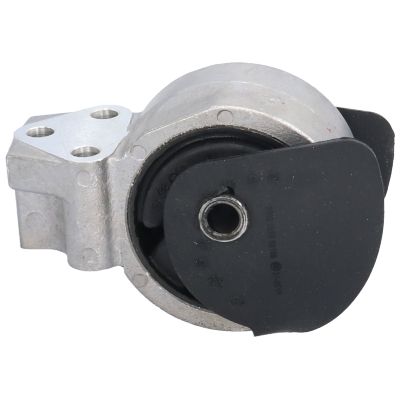 VE50199.JPG