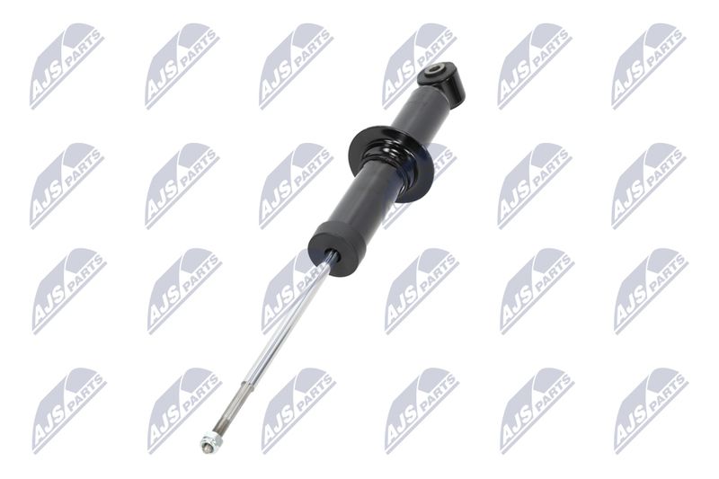 Amort, NTY A-CH-058