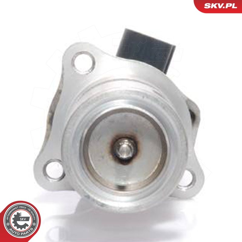 EGR-klapp, ESEN SKV 14SKV009