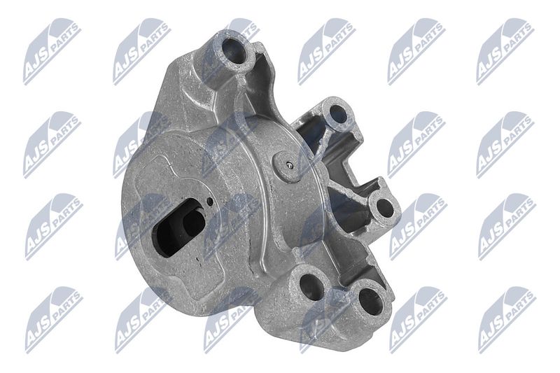 Paigutus, Mootor, NTY ZPS-PE-031