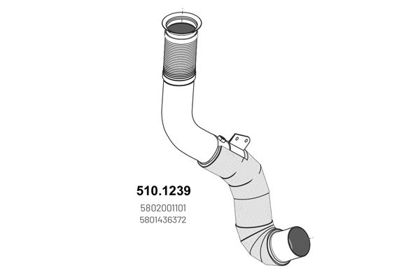 510.1239_1.JPG