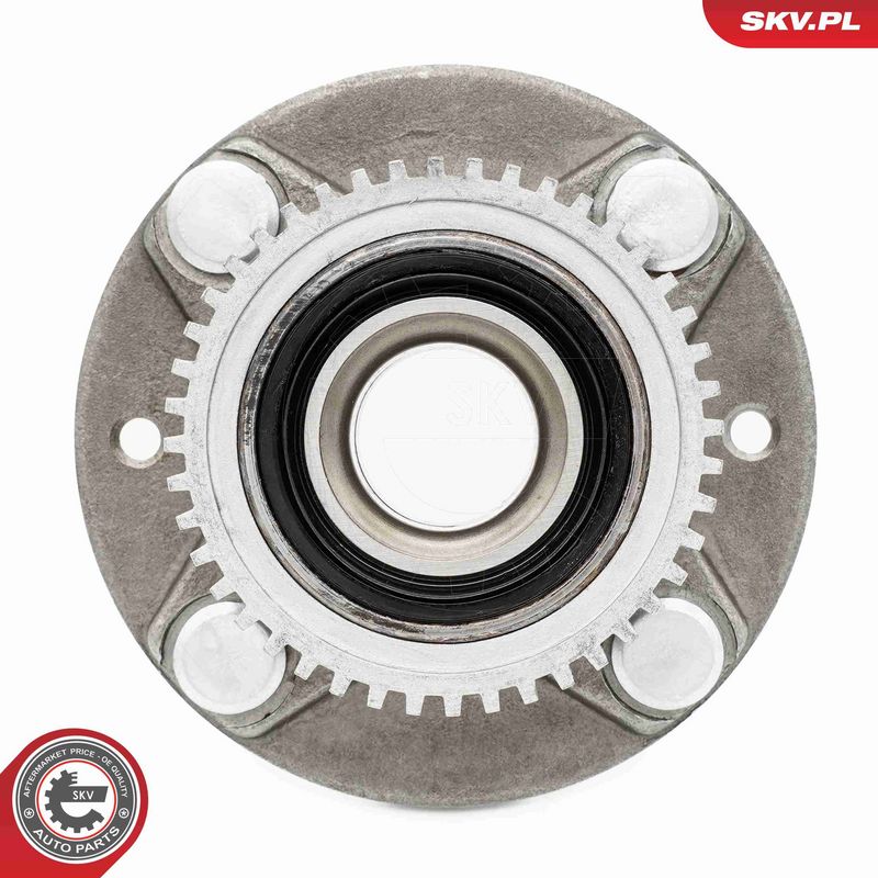ESEN SKV 29SKV614 Rato guolio komplektas