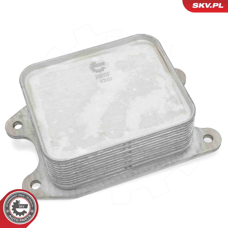 Prekės atitinka OEM kodą: 4E 117 021 C