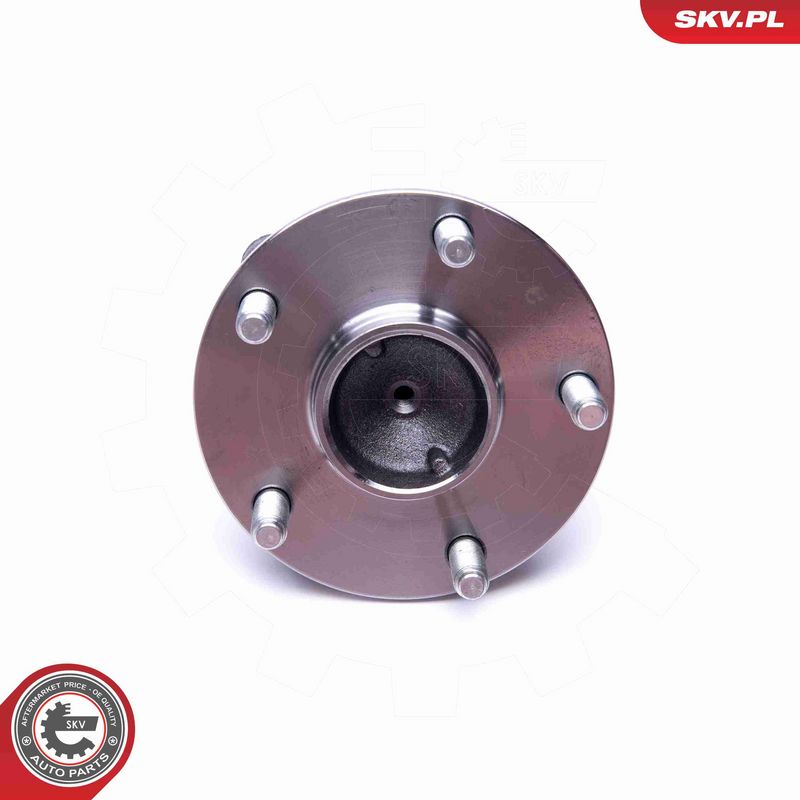 ESEN SKV 29SKV422 Wheel Bearing Kit