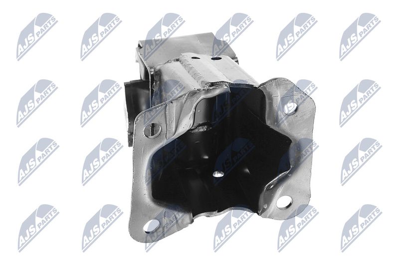 Paigutus, Mootor, NTY ZPS-CH-033