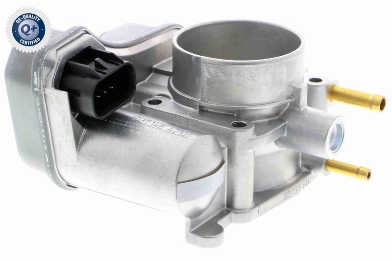 V40-81-0008_02.JPG