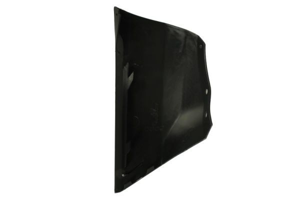 BLIC 6502-07-2594924P Trim/Protection Strip, bumper