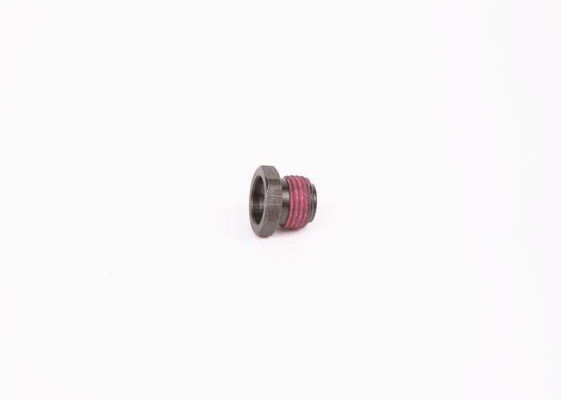Surub 1 423 455 010 BOSCH