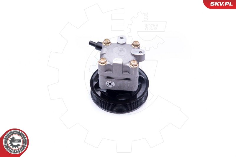 ESEN SKV 10SKV275 Hydraulic Pump, steering