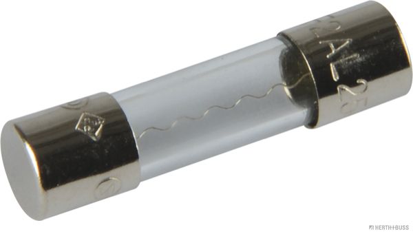 50295050.JPG