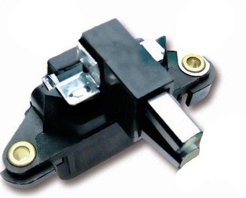 DDF_AMP0391_WR.JPG