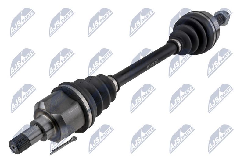 NPW-PE-125_1-WM.JPG