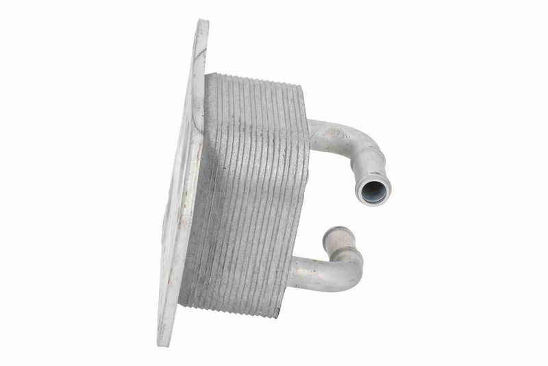 ACKOJA A38-60-0029 Oil Cooler, engine oil
