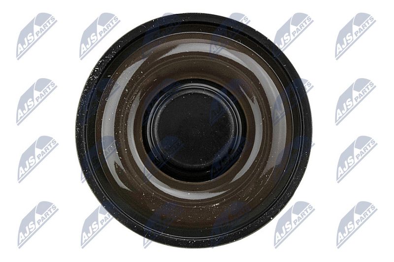 Klapikaas, NTY BPZ-RE-005