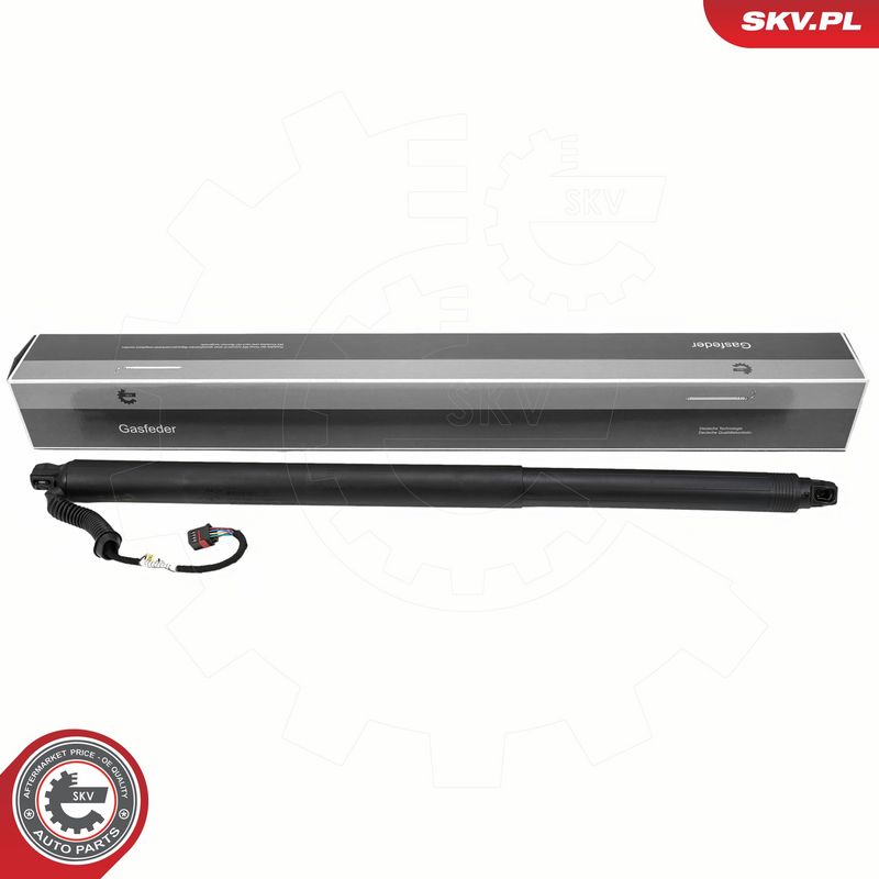 Elektrimootor, tagaluuk, ESEN SKV 52SKV202