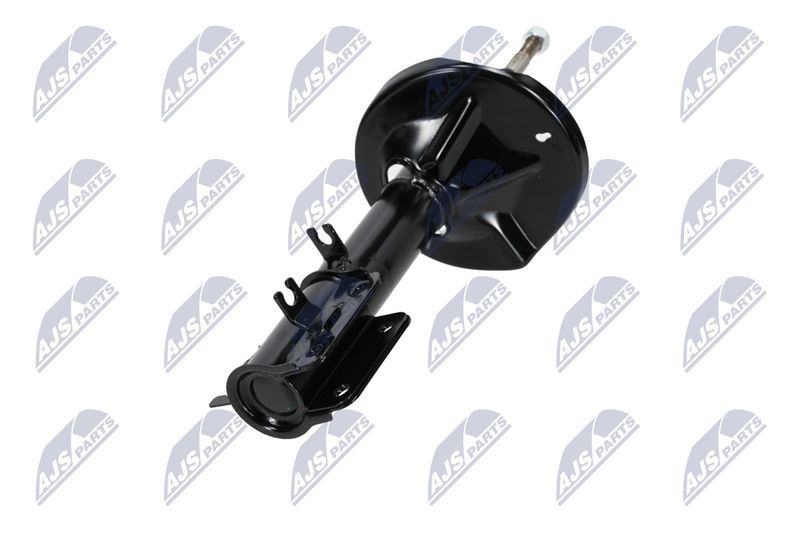 Amort, NTY A-CH-053