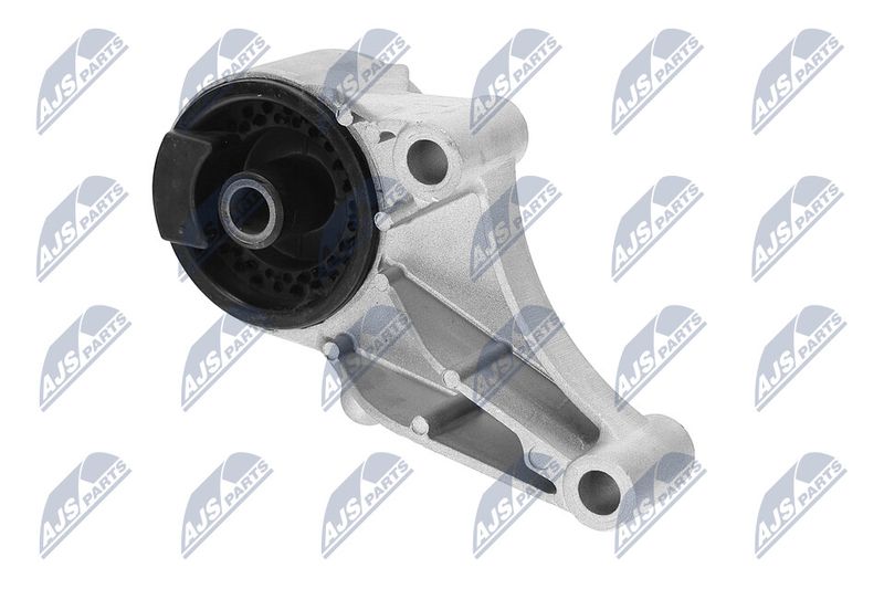 Paigutus, Mootor, NTY ZPS-PL-069
