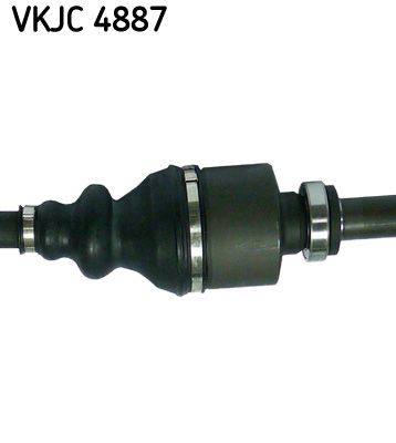 VKJC 4887_3.JPG
