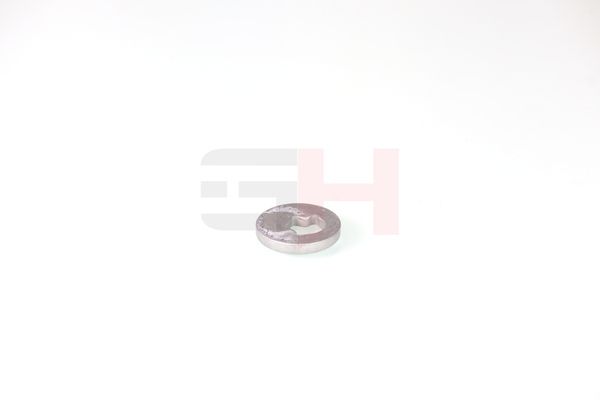 caster shim, sillatala, GH GH-391582