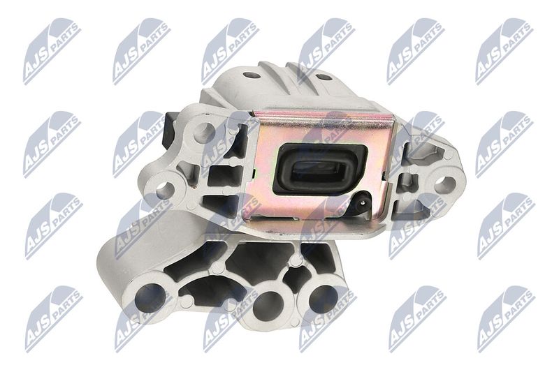 Paigutus, Mootor, NTY ZPS-CH-131