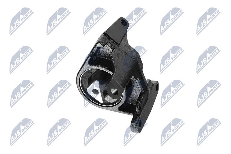 Paigutus, Mootor, NTY ZPS-CH-087