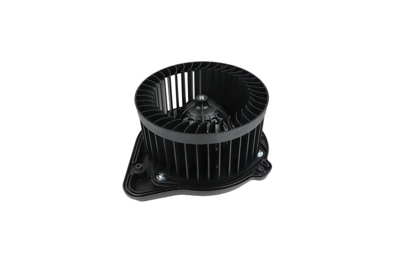 Salongipuhur, NRF 34136