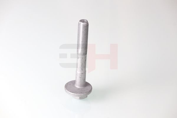GH GH-399901 Camber Correction Screw