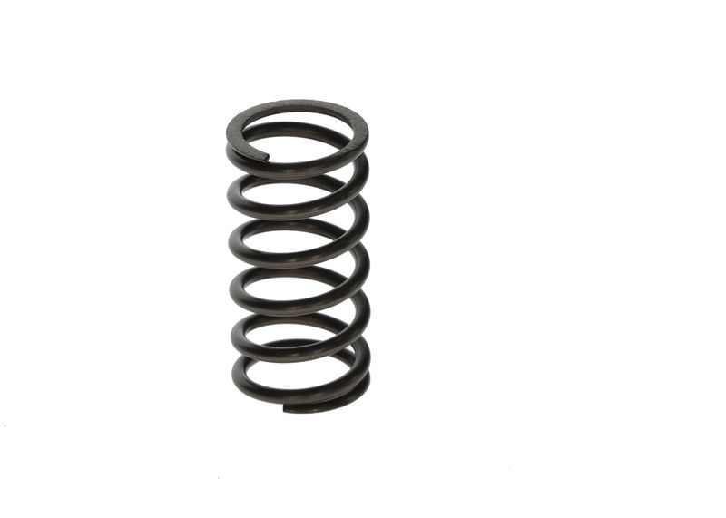 BOSCH F00N201853 Spring
