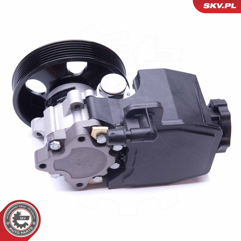 Hüdraulikapump, roolimine, ESEN SKV 10SKV269