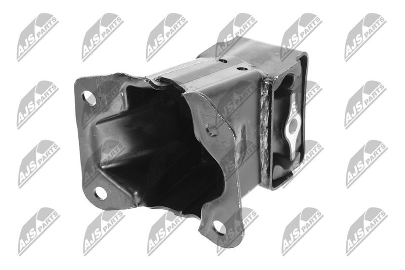 Paigutus, Mootor, NTY ZPS-CH-033