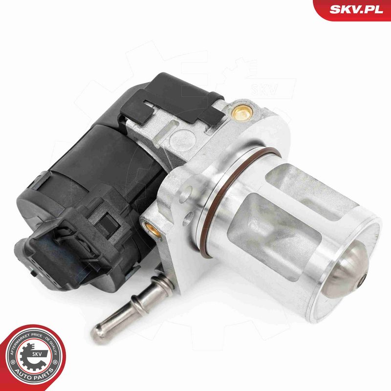 ESEN SKV 14SKV266 EGR Valve