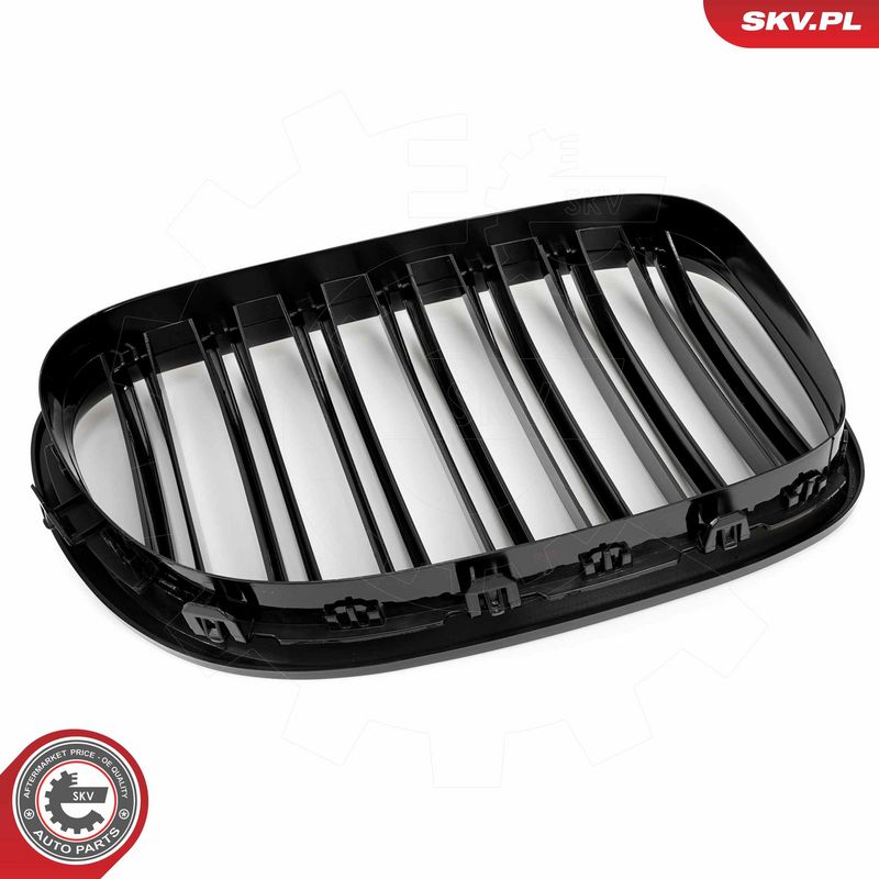 Radiaatorivõre, ESEN SKV 66SKV219