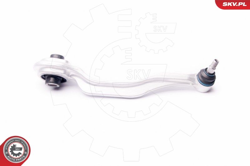 ESEN SKV 04SKV300 Repair Kit, control arm