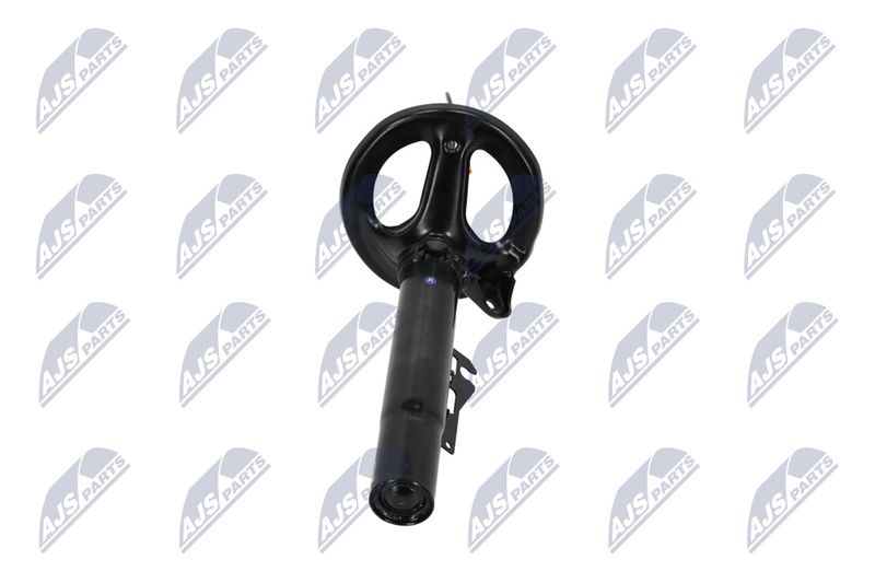 Amort, NTY A-PS-012