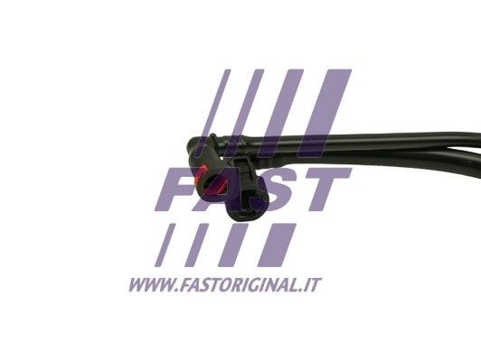 FT36506_3_1.JPG