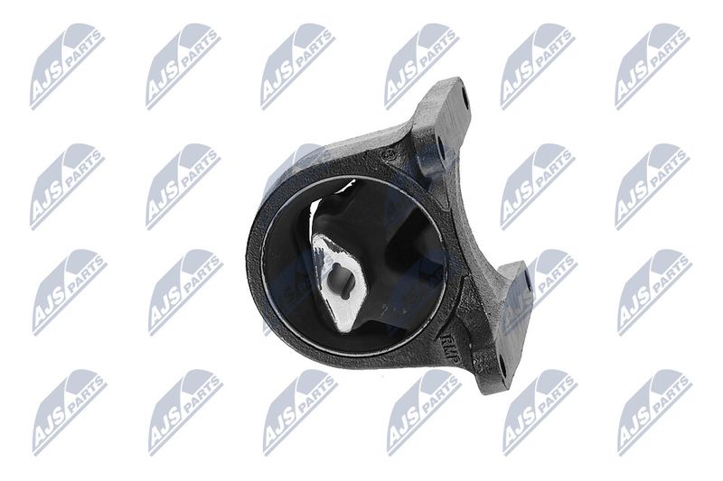 Paigutus, Mootor, NTY ZPS-CH-008