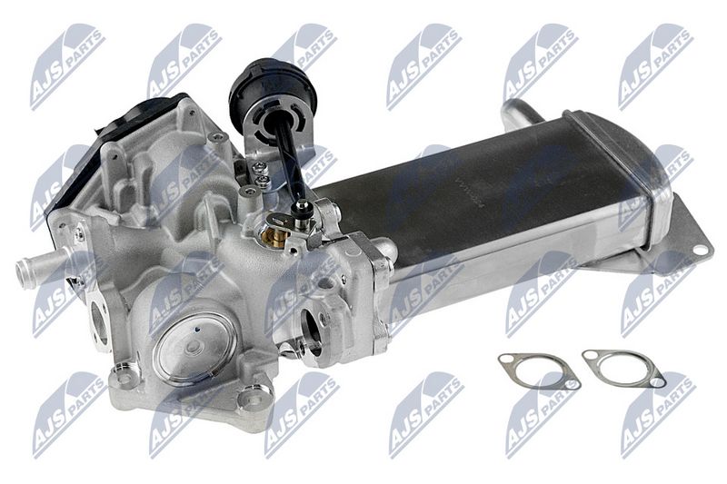egr-vw-024_1-wm.JPG