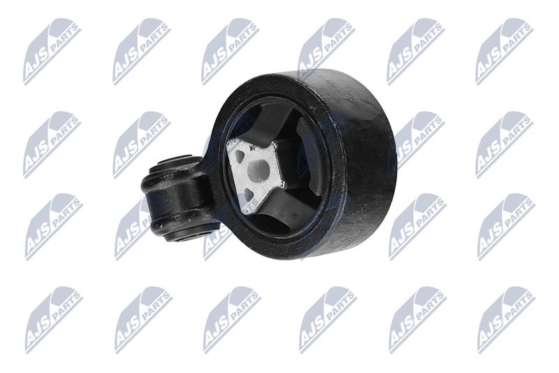 Paigutus, Mootor, NTY ZPS-CH-117