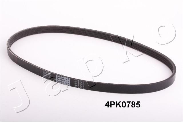 4PK785_1.JPG