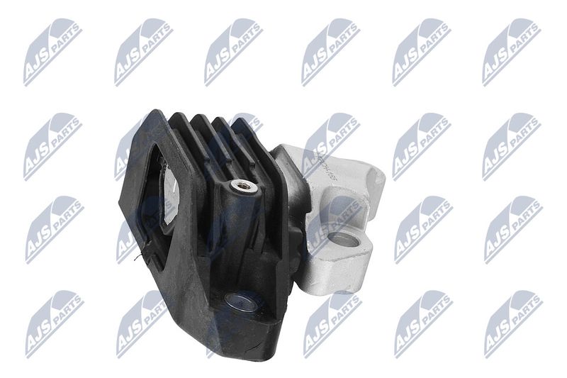 Paigutus, Mootor, NTY ZPS-CH-165