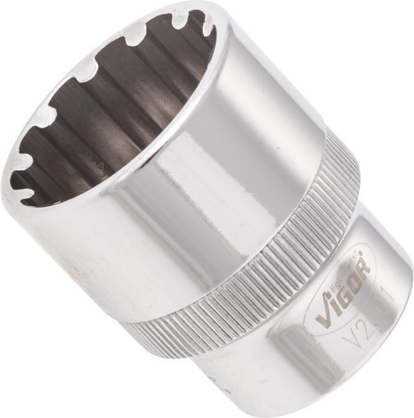 Padrun, VIGOR V2001