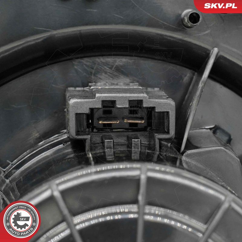 Salongipuhur, ESEN SKV 68SKV229