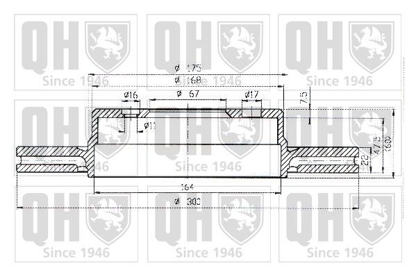 QH_BDC4380_1.JPG